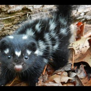 Meet your Posher, Derek